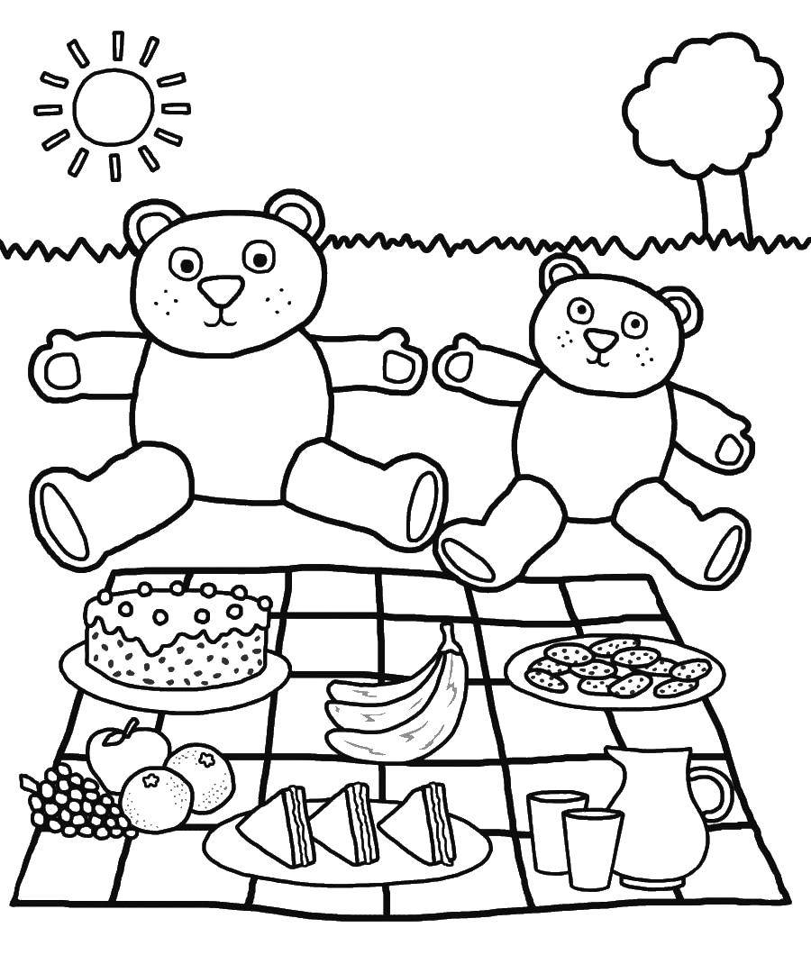 Coloring Picnic bears. Category Animals. Tags:  Animals, bear.