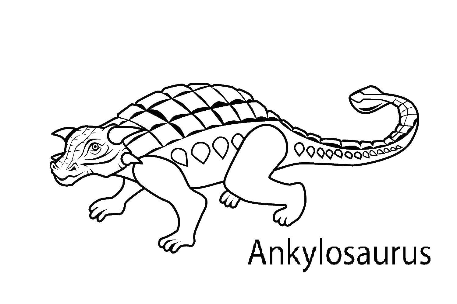 Название: Раскраска Анкилозавр. Категория: динозавр. Теги: Динозавры.