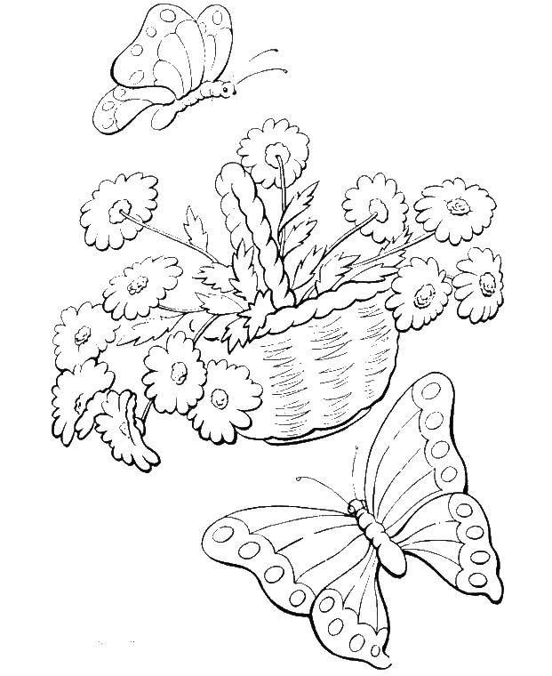 Название: Раскраска Корзина с цветами и бабочки. Категория: цветы. Теги: бабочки.