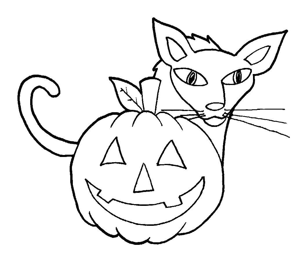 Название: Раскраска Кошка с тыквой. Категория: Хэллоуин. Теги: Хэллоуин, тыква, кот.