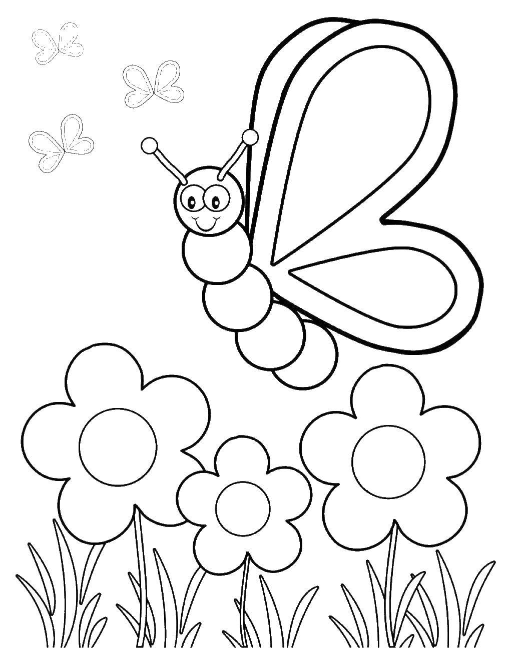 Розмальовки  Метелик рада квіточкам. Завантажити розмальовку Метелик, квіти.  Роздрукувати ,Розмальовки для малюків,