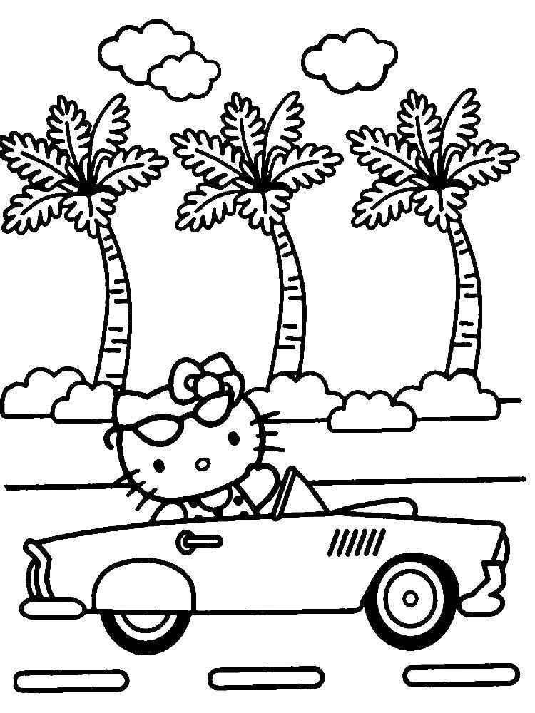 Coloring Kitty by car. Category kitty . Tags:  kitty .