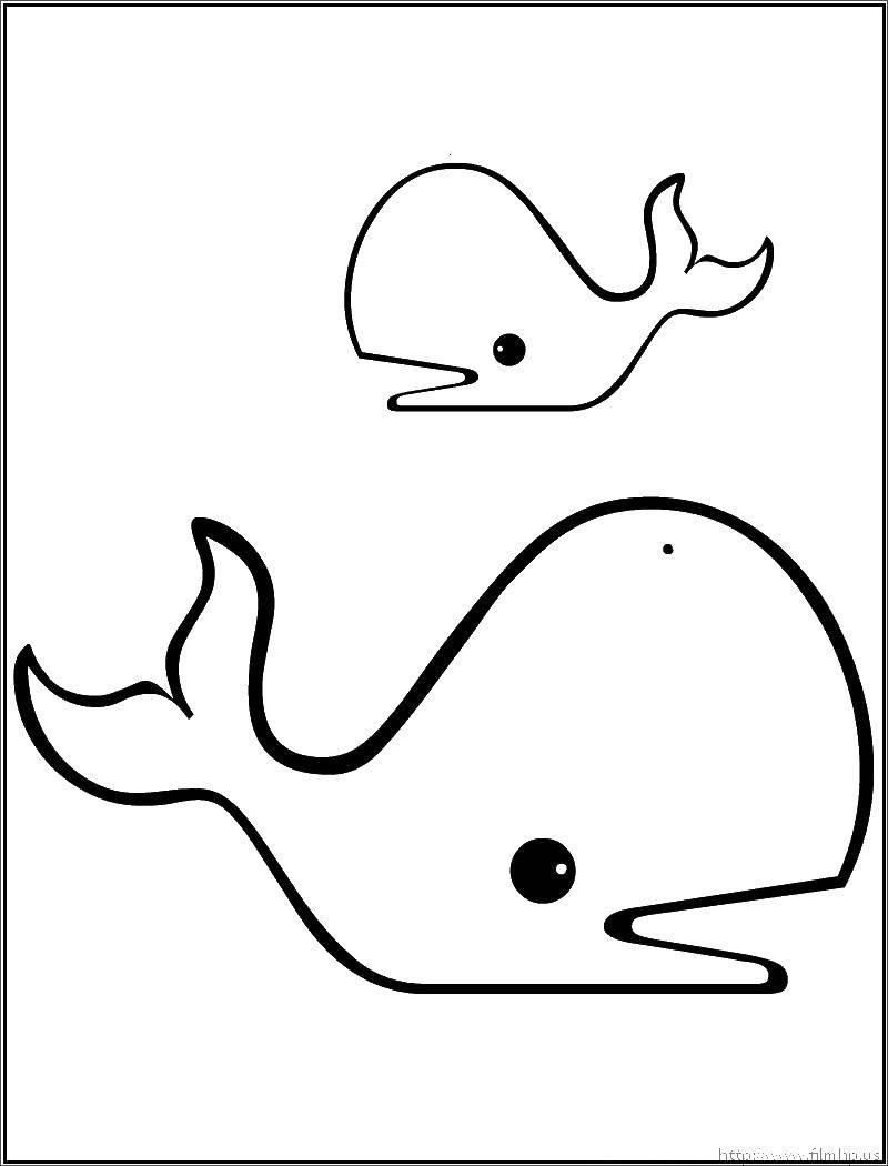 Coloring Whales. Category marine. Tags:  Underwater, whale.