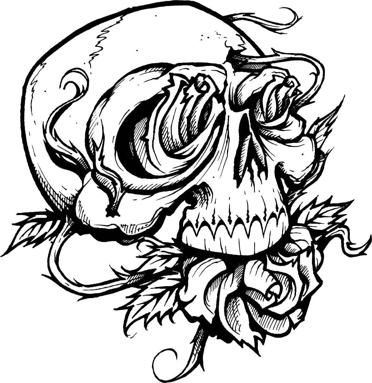 Coloring Skull. Category skull. Tags:  skull.