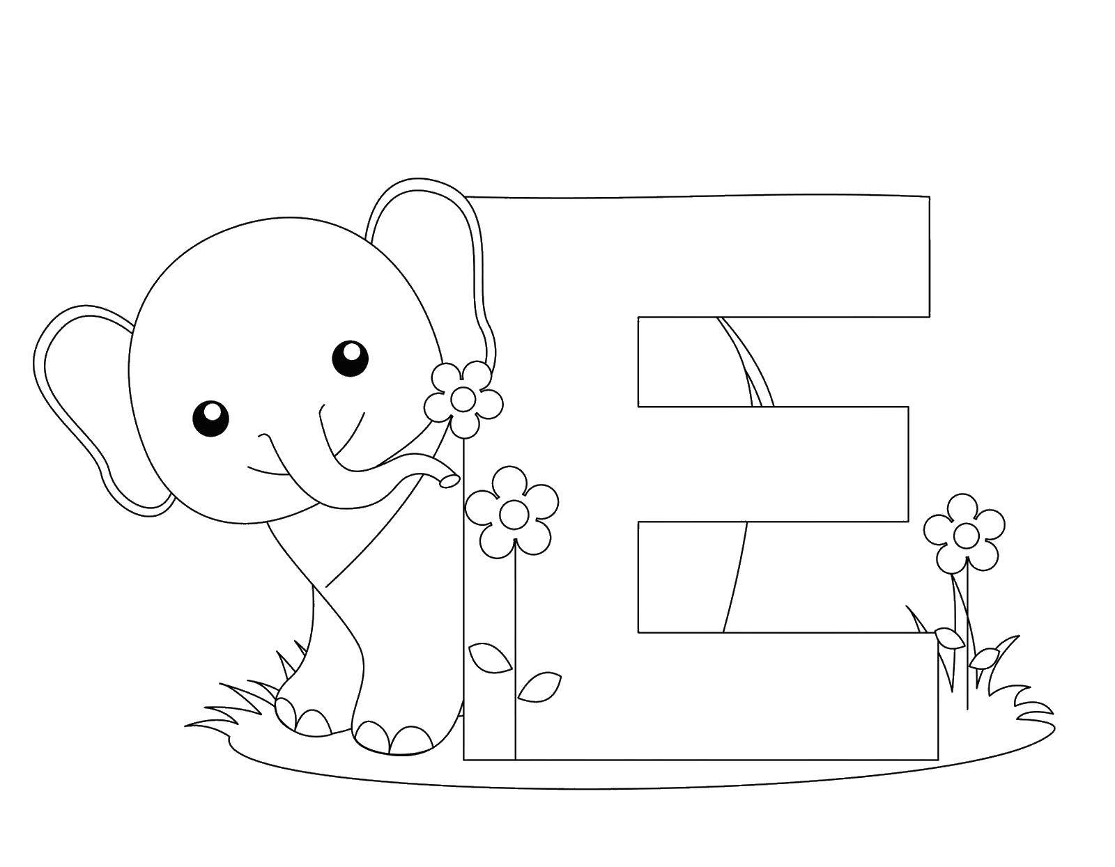 Coloring The letter e and elephant. Category coloring for little ones. Tags:  letter E, Elephant.