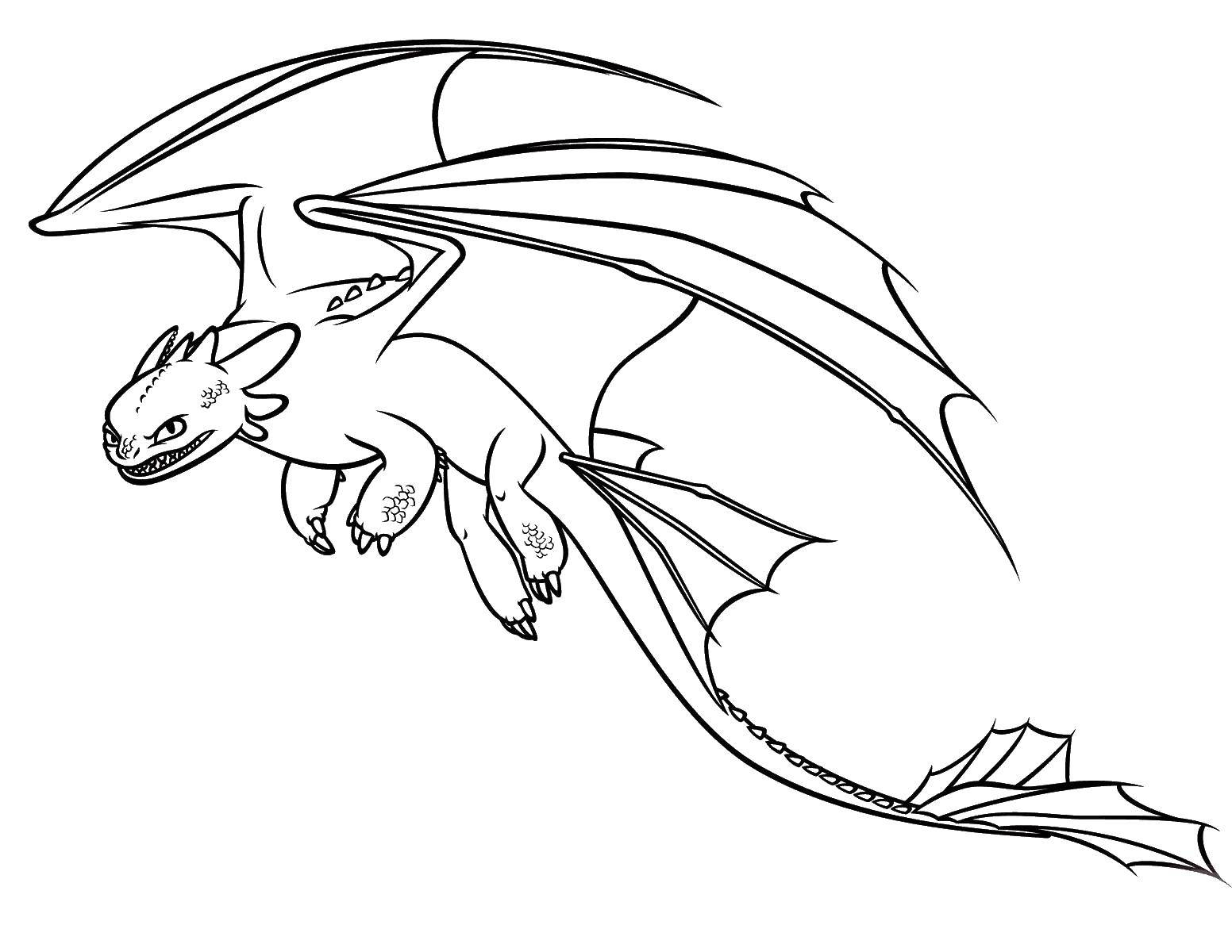 Coloring Dragon. Category Animals. Tags:  the dragon.