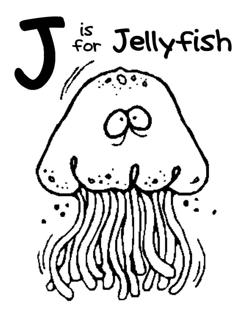Название: Раскраска J is for jellyfish. Категория: Английский алфавит. Теги: J, Jellyfish.