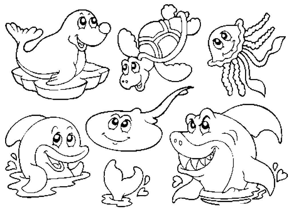 Coloring Marine obitateli. Category sea animals. Tags:  sea animals.