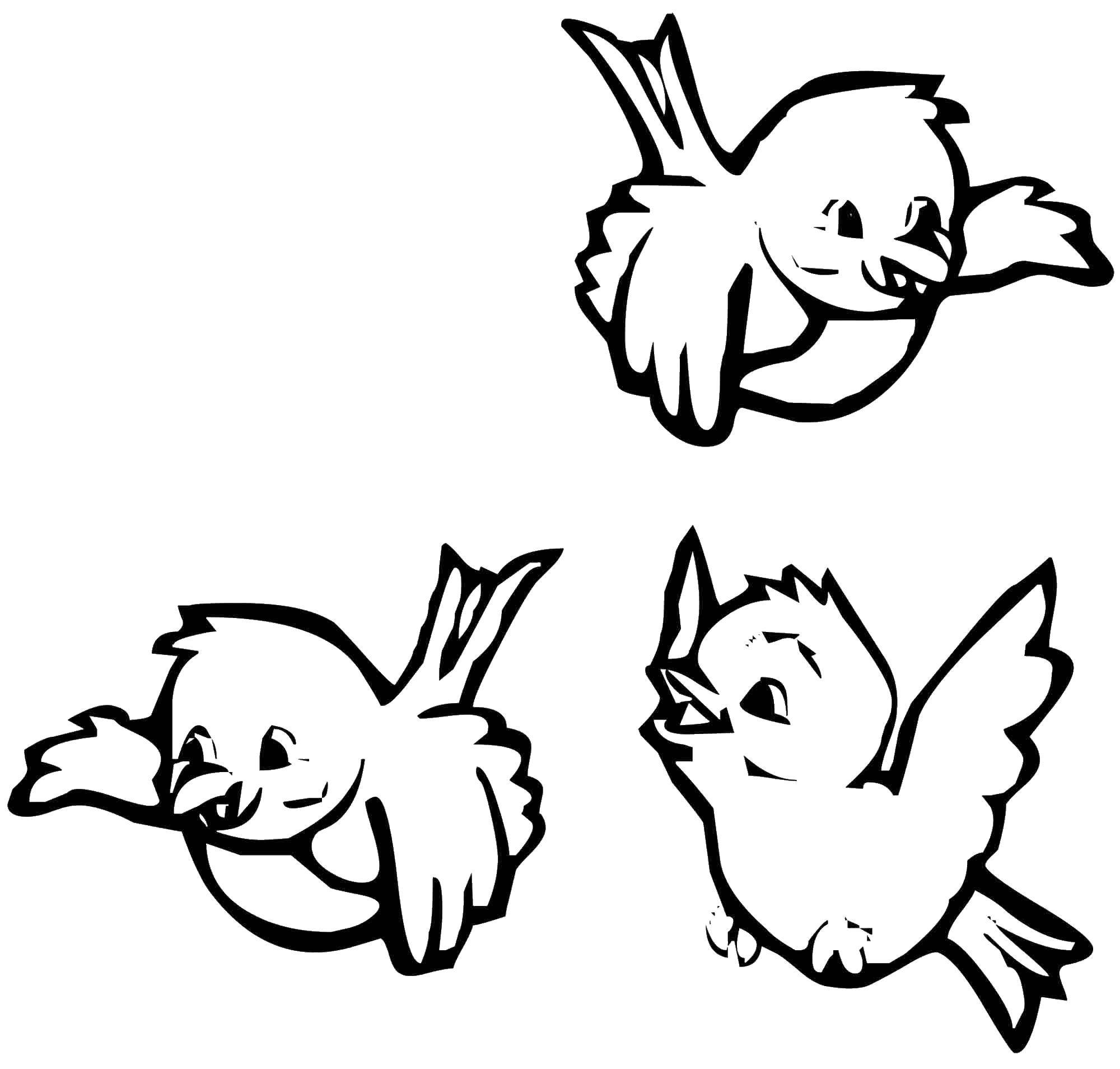 Coloring Birds. Category birds. Tags:  birds, sparrows.