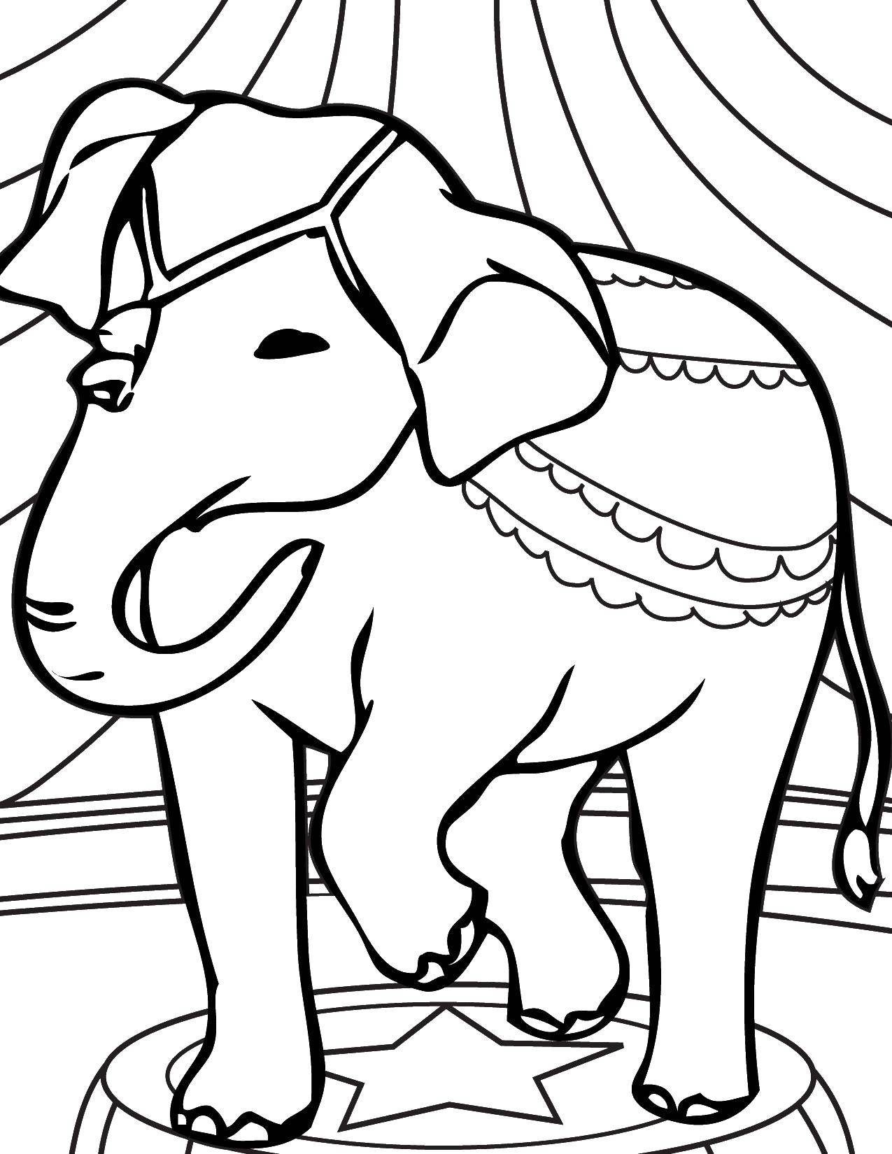 Coloring Circus layer. Category Animals. Tags:  circus. elephant.