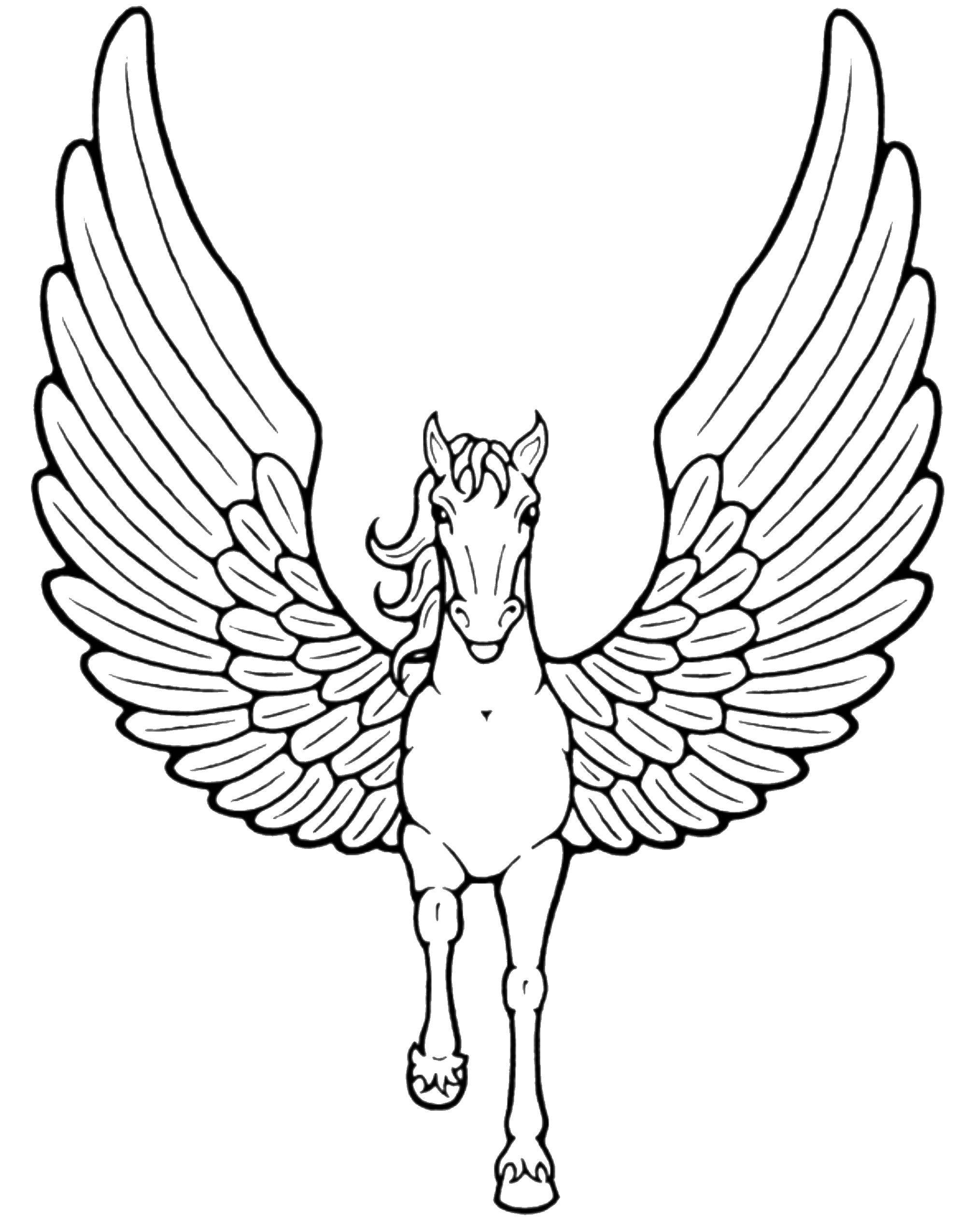 Coloring Pegasus. Category Animals. Tags:  Animals, Pegasus.