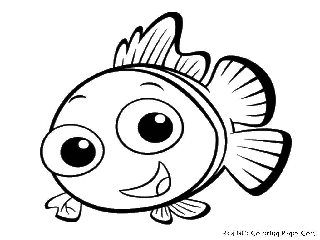 Coloring Fish. Category fish. Tags:  fish, fish.