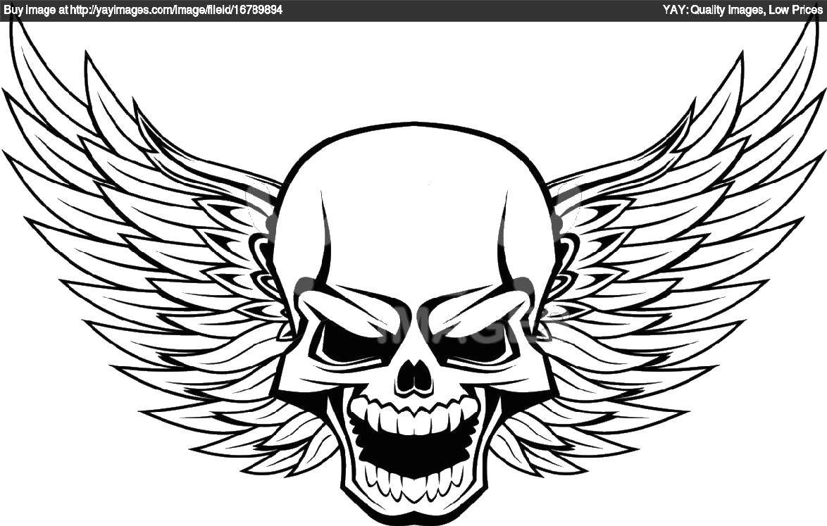 Coloring Skull with wings. Category skull. Tags:  Skull, wings.