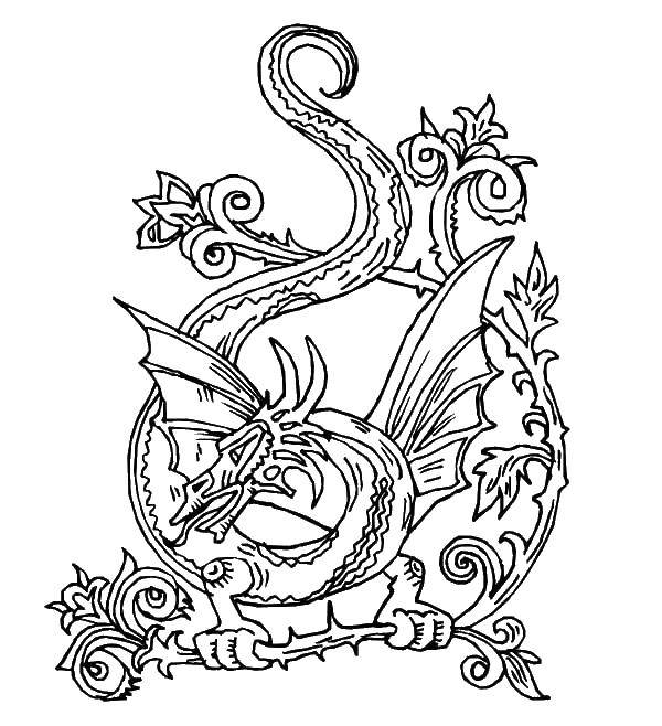 Coloring Dragon on a branch. Category Dragons. Tags:  Dragons.