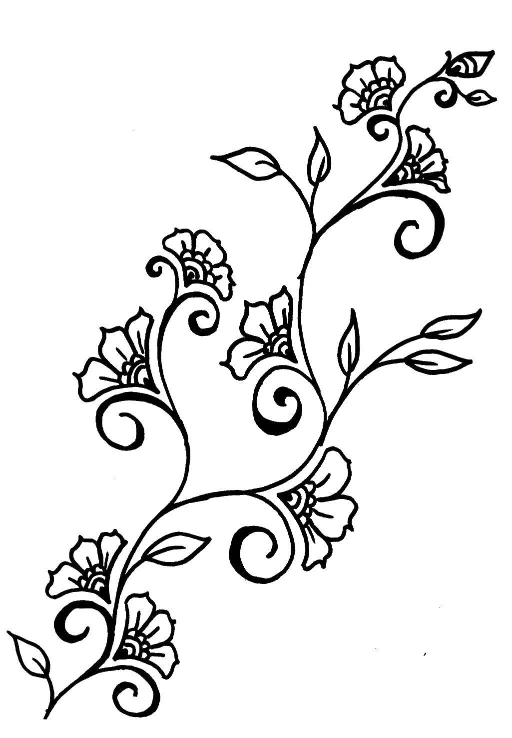 Coloring Flowers. Category flowers. Tags:  Flowers.