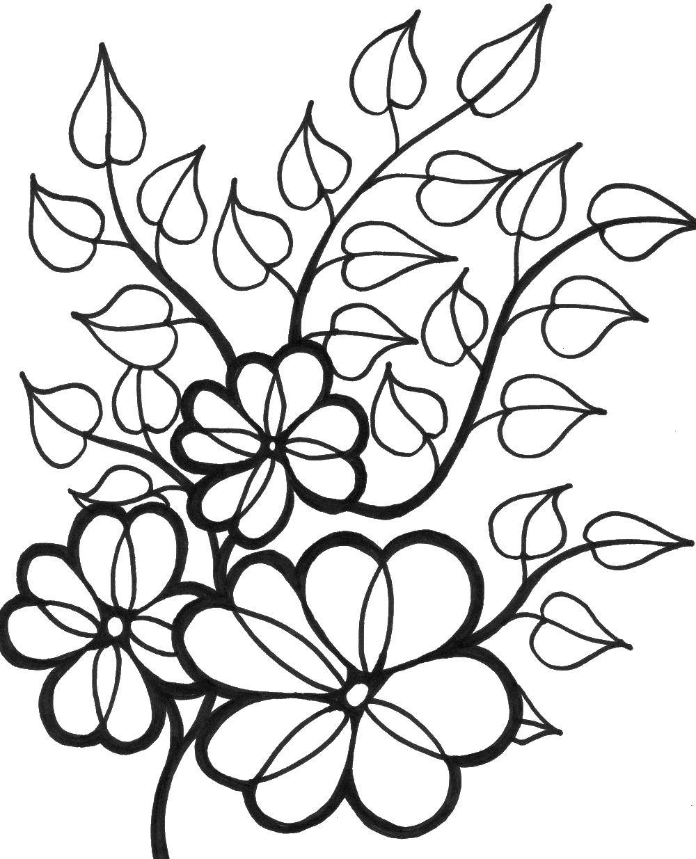 Coloring Flowers and leaves. Category flowers. Tags:  Flowers.