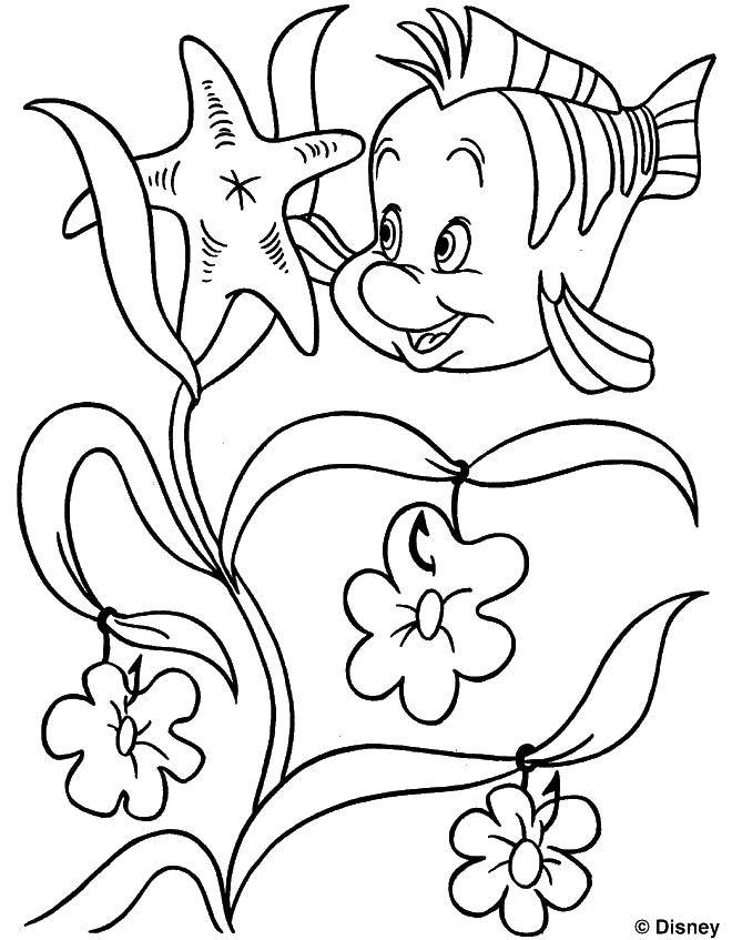Coloring Flounder. Category Disney cartoons. Tags:  Disney, the little mermaid, Ariel.