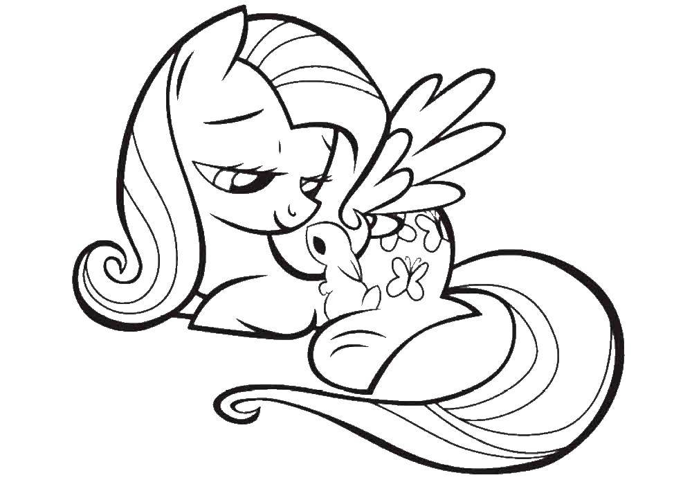 Coloring My little pony fluttershy. Category cartoons. Tags:  Pony, fluttershy.