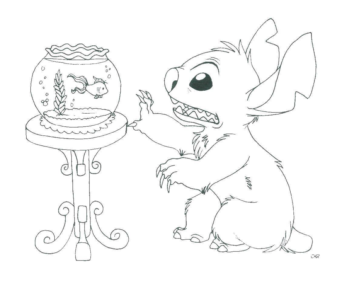 Coloring Stitch watches the fish. Category Cartoon character. Tags:  Lilo and Stitch.