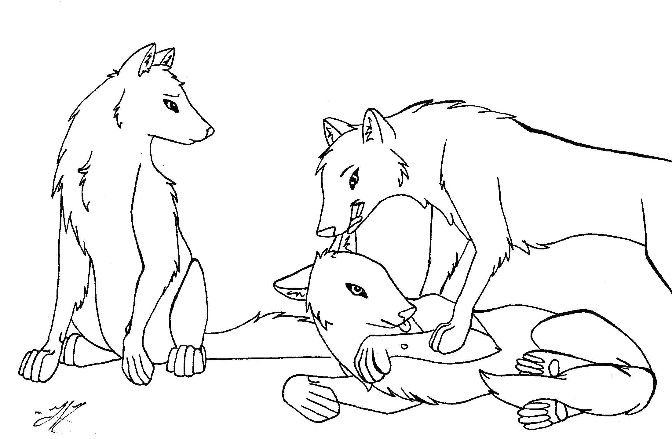 Название: Раскраска Забота животных. Категория: Животные. Теги: Животные, волк.