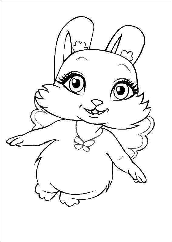 Coloring Bunny. Category Animals. Tags:  Animals, Bunny.
