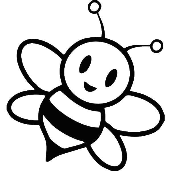 Пчела раскраска для детей - фото