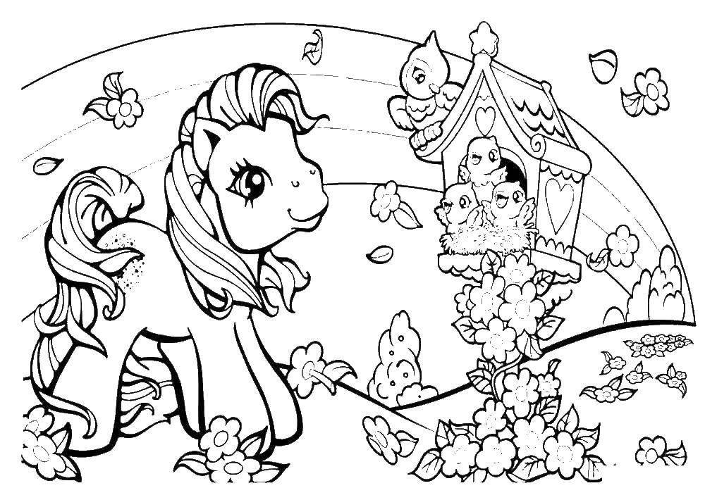 Coloring A pony with birds. Category Animals. Tags:  Ponies.