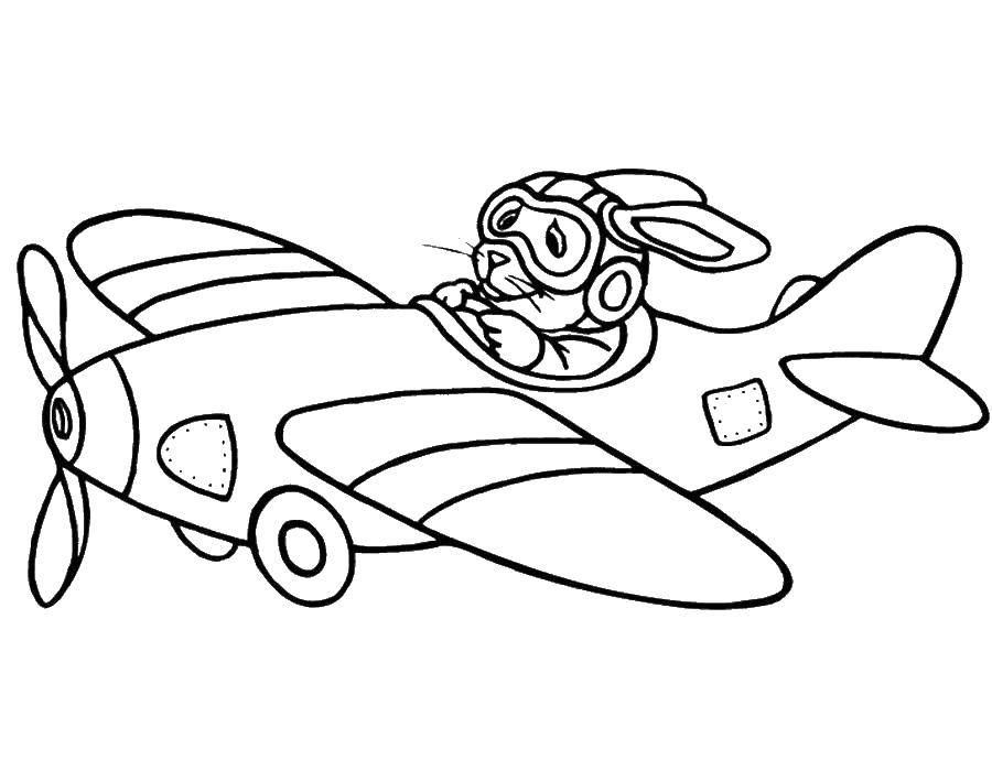 Coloring Rabbit on the airplane. Category the planes. Tags:  Airplane, rabbit.