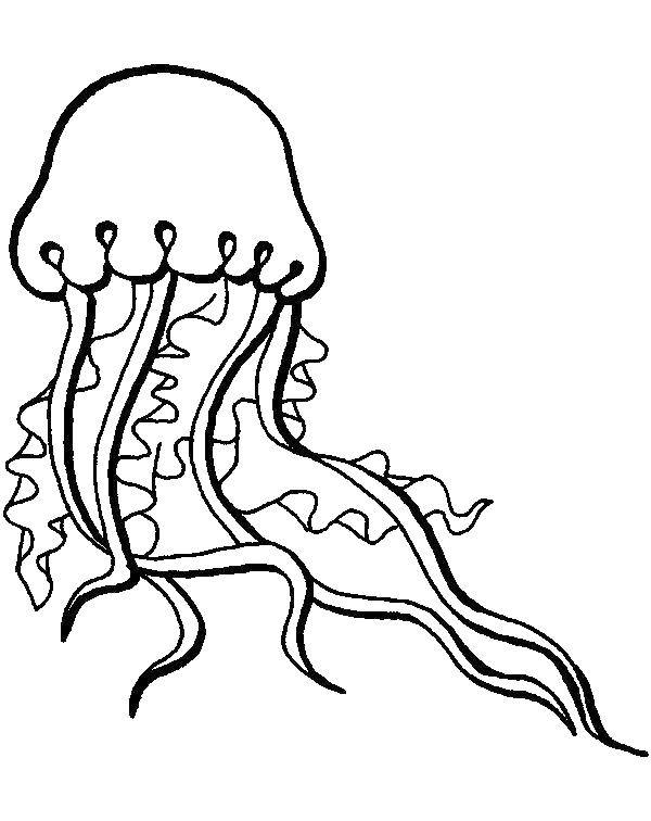 Название: Раскраска Медуза. Категория: Морские обитатели. Теги: Подводный мир, медуза.