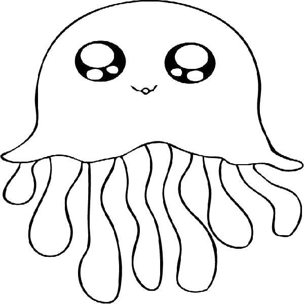 Coloring Jellyfish. Category Sea animals. Tags:  Underwater world, jellyfish.