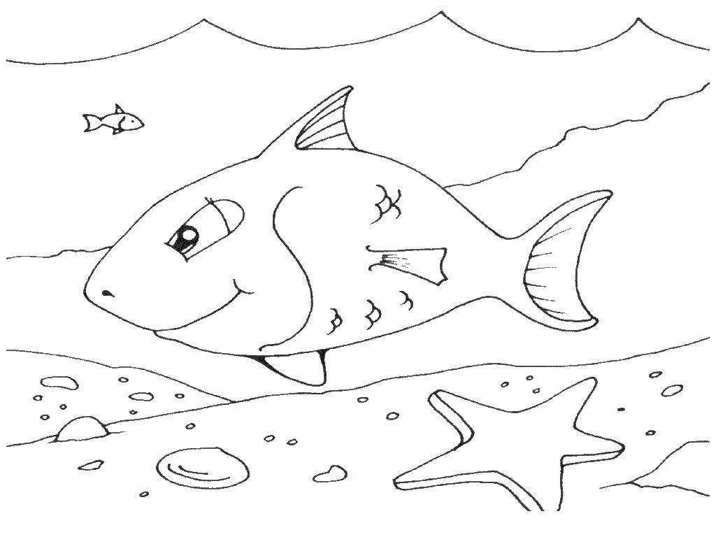 Название: Раскраска Рыбка на морском дне. Категория: Морские обитатели. Теги: Подводный мир, рыба.