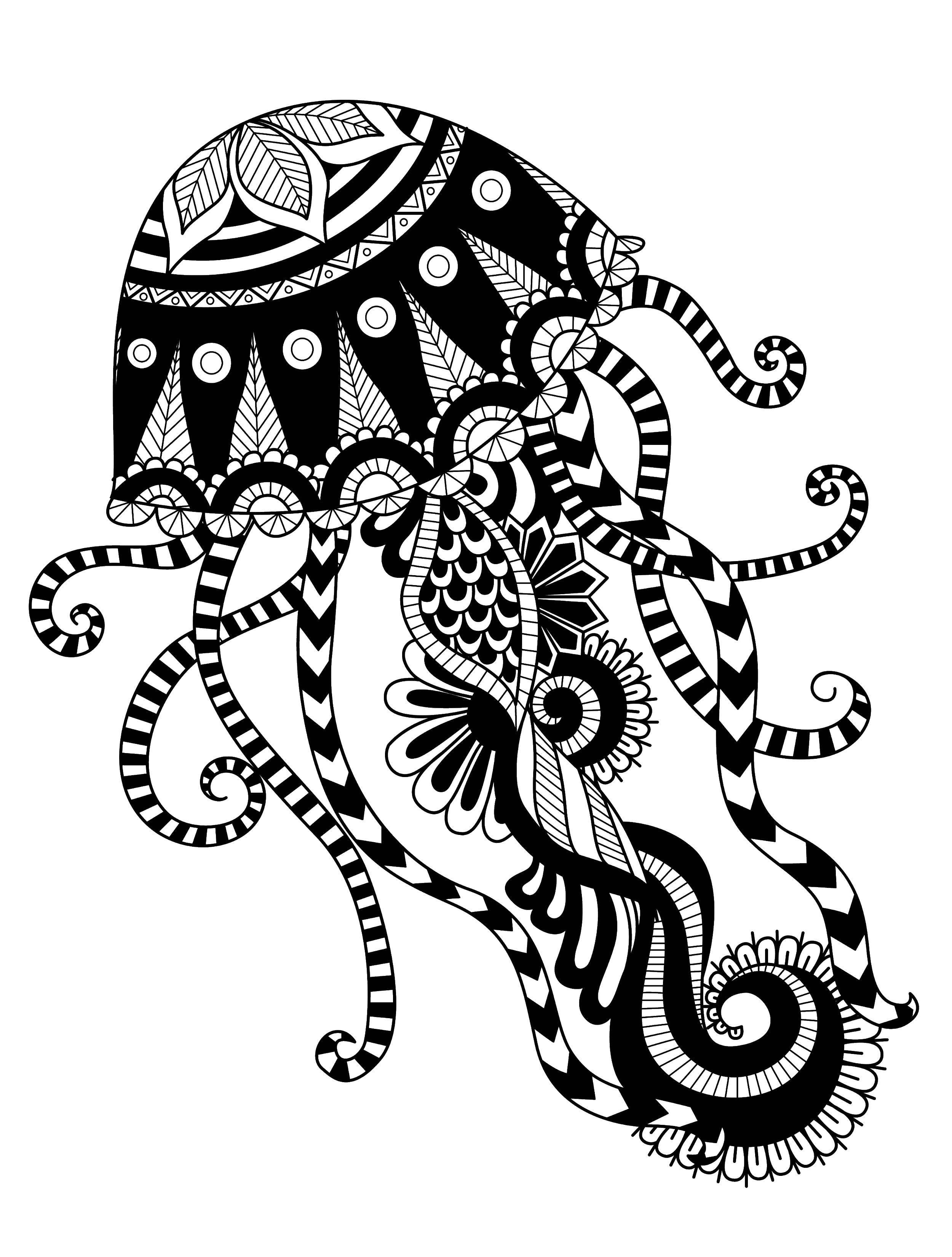 Опис: розмальовки  Медуза. Категорія: Морські мешканці. Теги:  медуза.