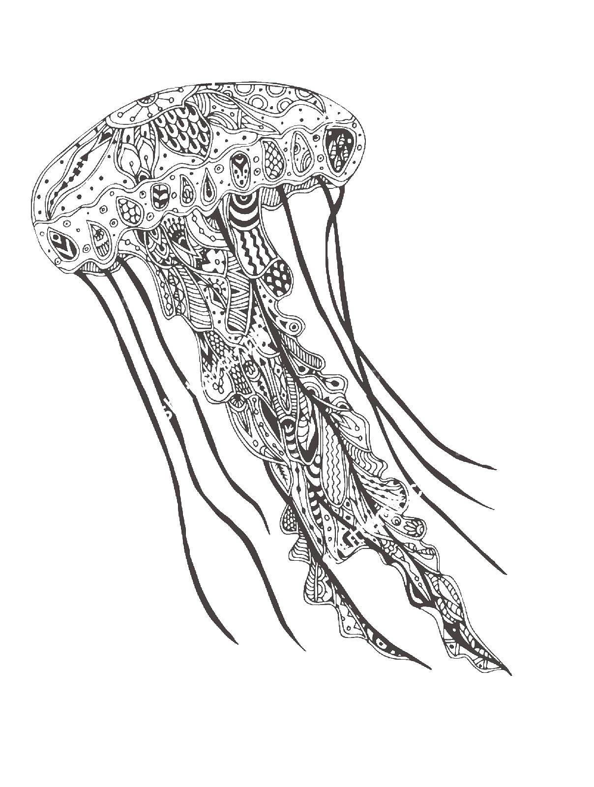 Coloring Jellyfish patterns. Category Sea animals. Tags:  Underwater world, jellyfish.