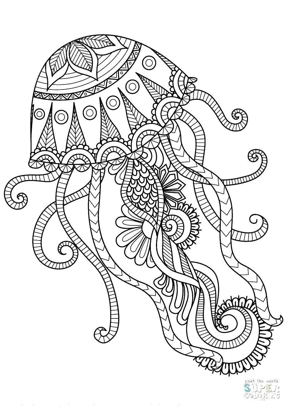 Coloring Medusa. Category Sea animals. Tags:  Medusa.