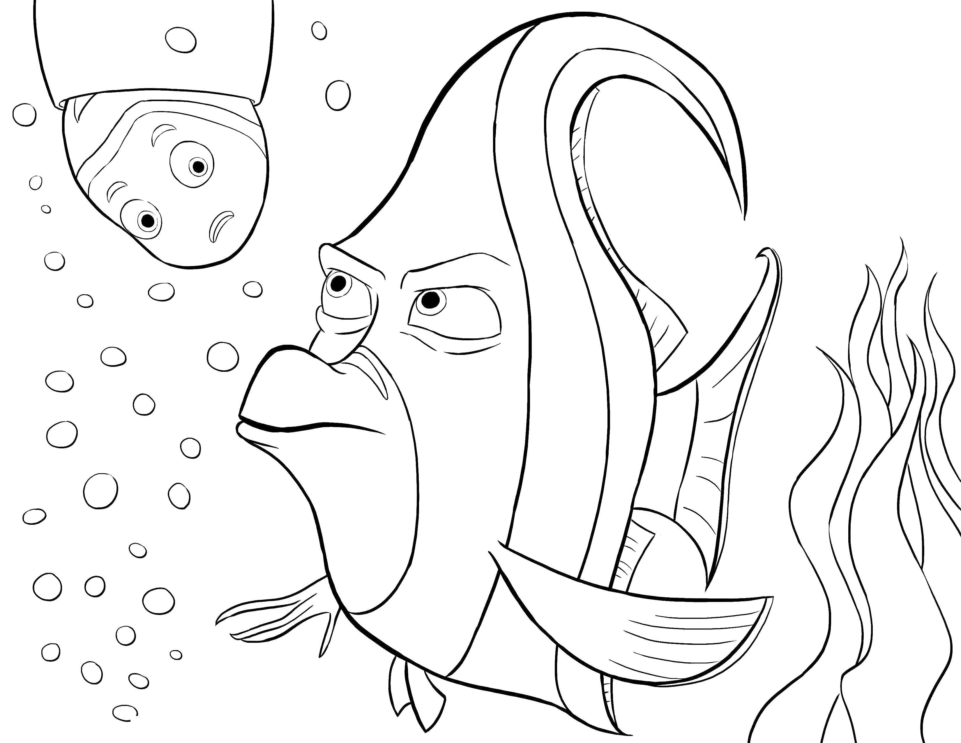 Название: Раскраска Рыбки из мультфильма. Категория: Морские обитатели. Теги: Подводный мир, рыба.