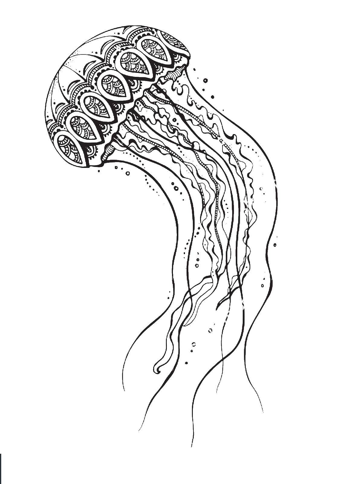 Название: Раскраска Красивая узорная медуза. Категория: Морские обитатели. Теги: Подводный мир, медуза.