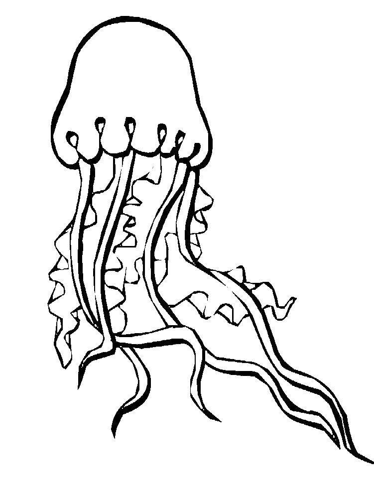 Название: Раскраска Медуза в океане. Категория: Морские обитатели. Теги: Подводный мир, медуза.