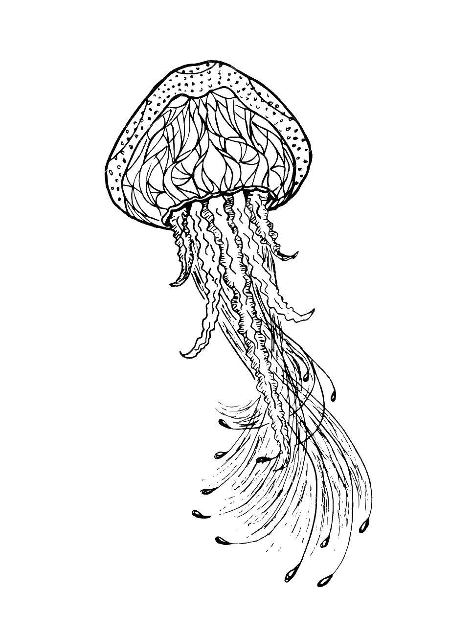 Название: Раскраска Медуза в узорах. Категория: Морские обитатели. Теги: Подводный мир, медуза.