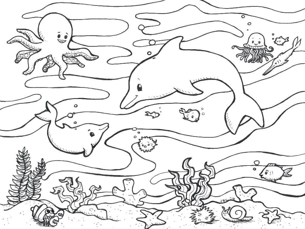 Название: Раскраска Подводные друзья. Категория: Морские обитатели. Теги: Подводный мир, дельфин.