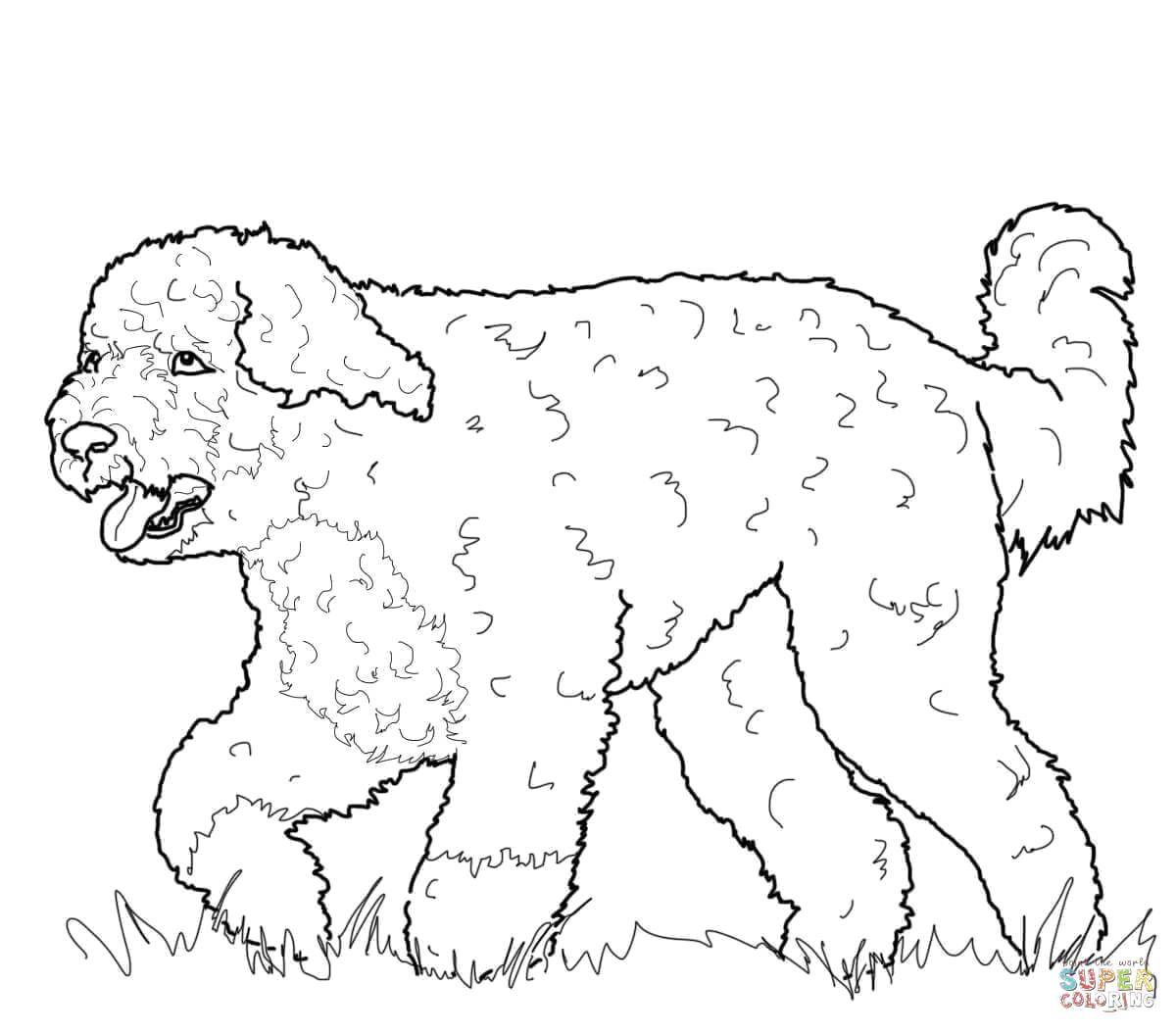 Coloring Fluffy dog. Category Animals. Tags:  Animals, dog.