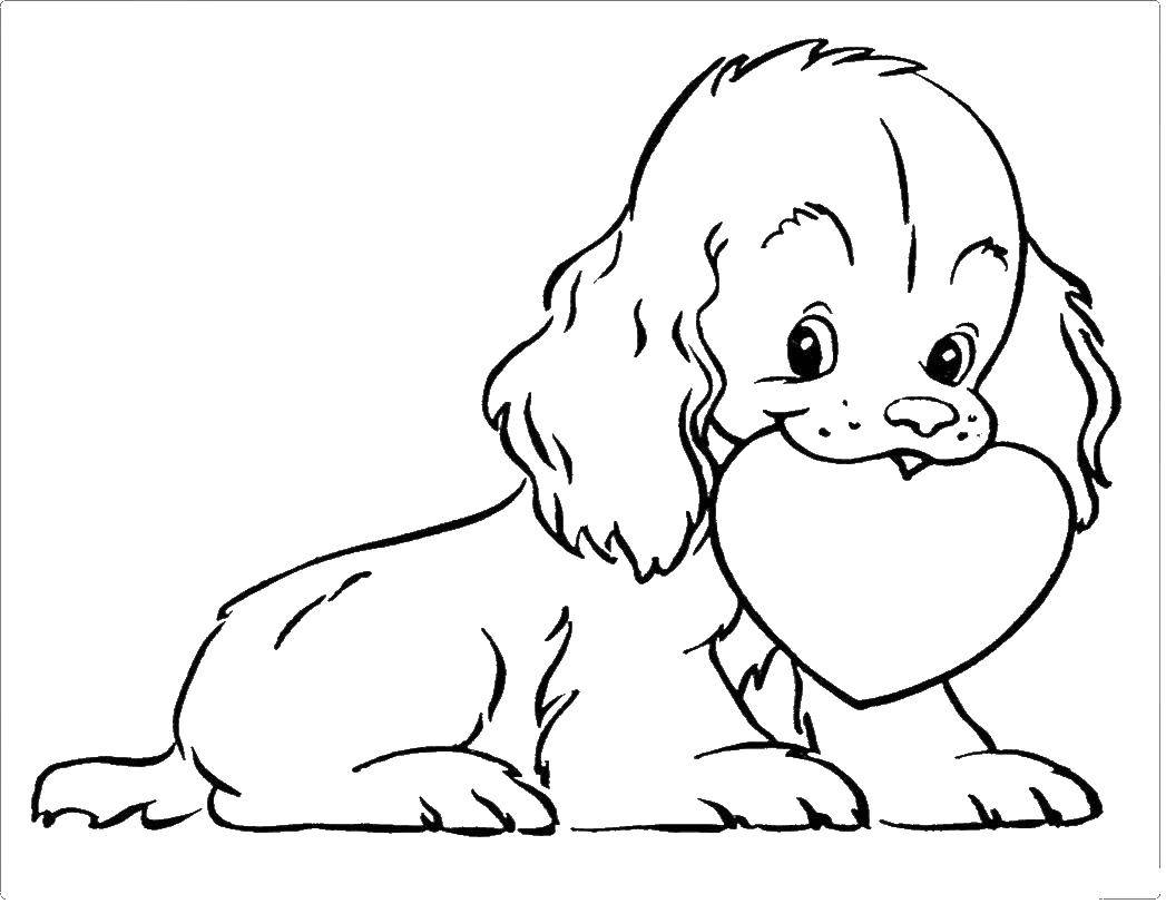 Coloring Puppy with a heart. Category Animals. Tags:  Animals, dog.