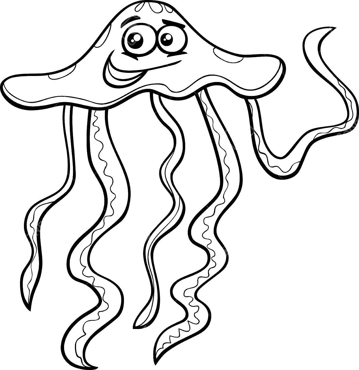 Название: Раскраска Смешная медуза. Категория: Морские обитатели. Теги: Подводный мир, медуза.