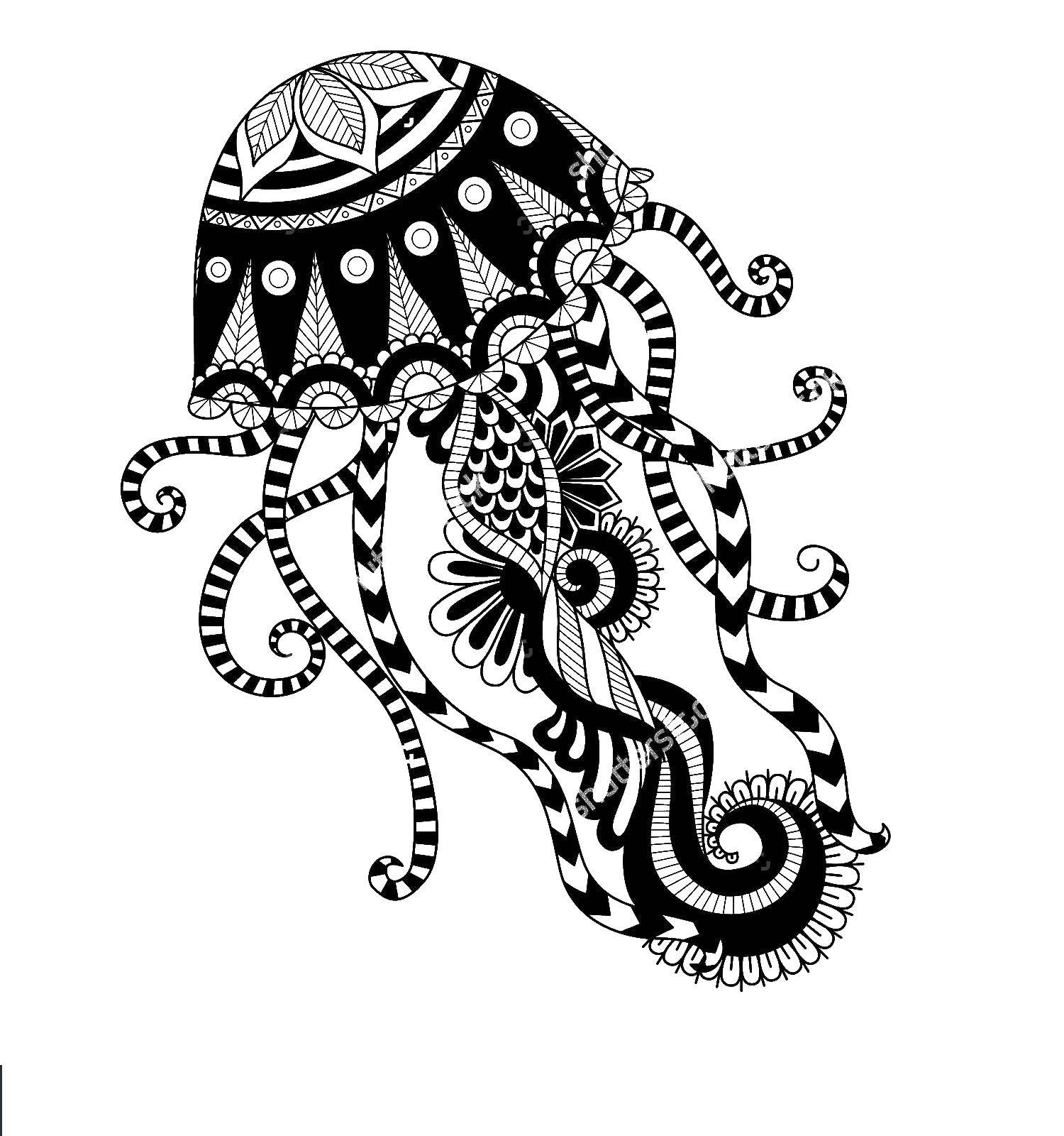 Coloring Patterned jellyfish. Category Sea animals. Tags:  Underwater world, jellyfish.