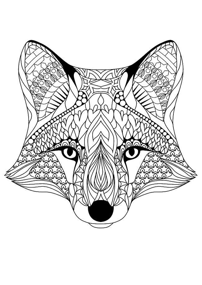 Coloring Patterned wolf. Category Animals. Tags:  Patterns, animals.
