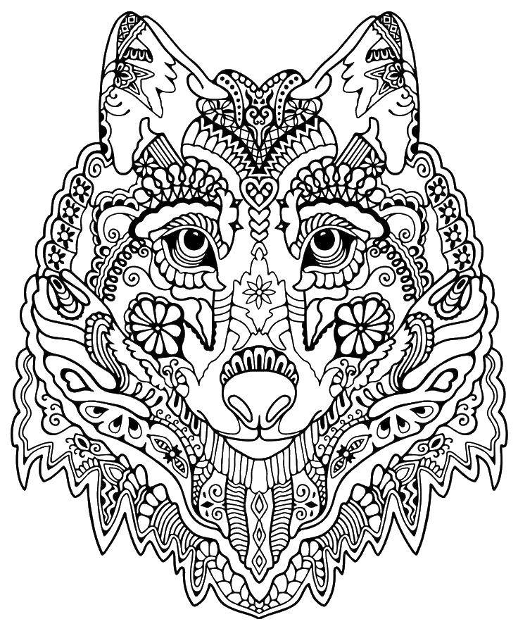 Coloring The wolf in the patterns. Category patterns. Tags:  Patterns, animals.