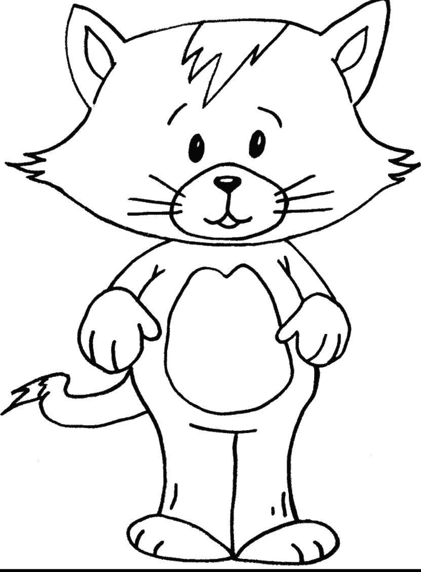 Coloring Kitty. Category Cats and kittens. Tags:  Animals, kitten.