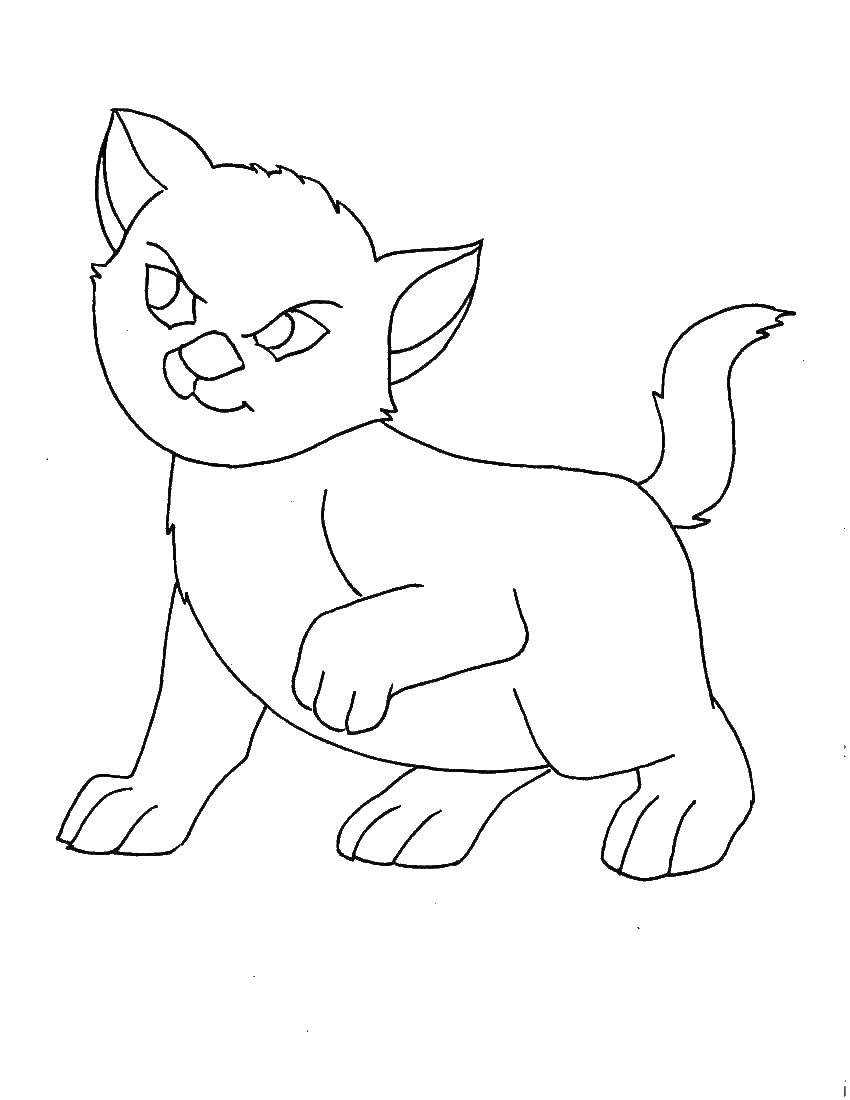 Coloring Crafty kitty. Category Cats and kittens. Tags:  Animals, kitten.