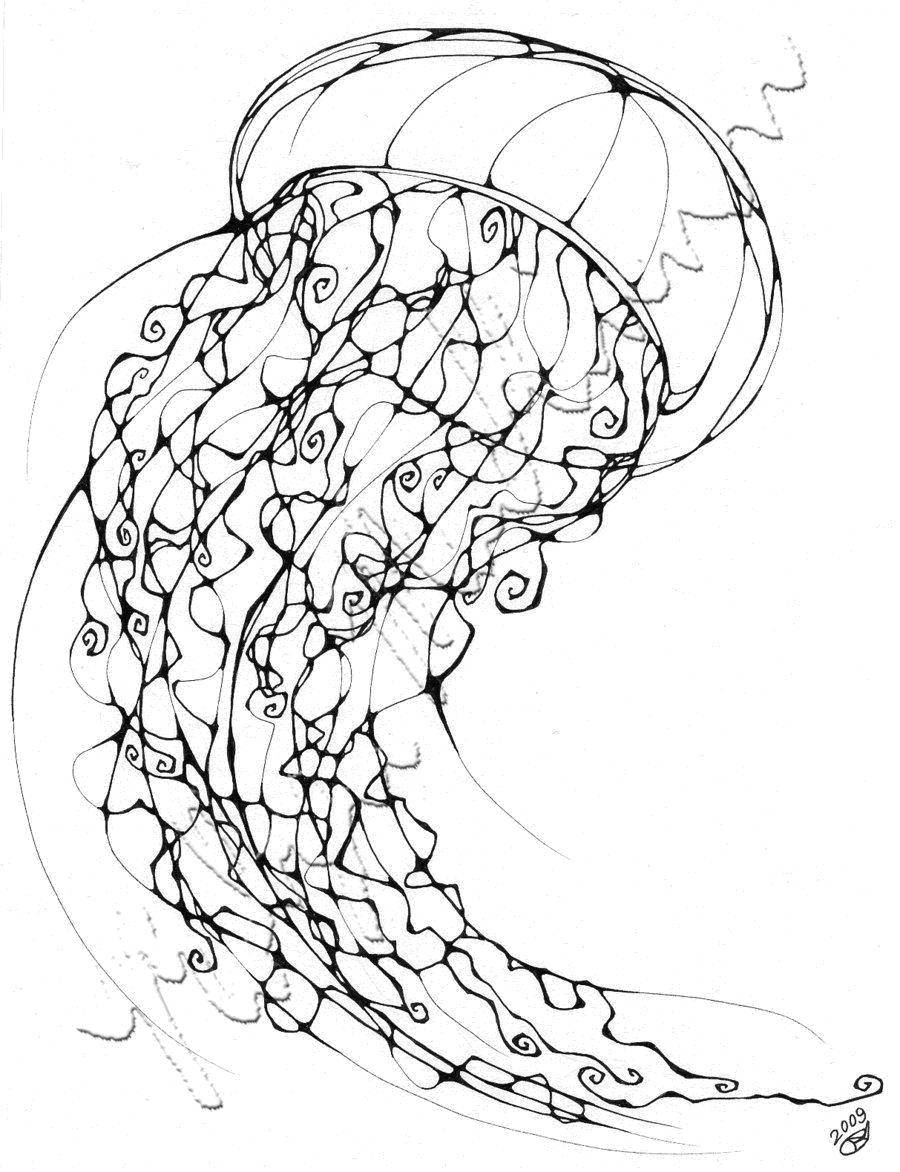 Название: Раскраска Медуза с длинными щупальцами. Категория: Морские обитатели. Теги: Подводный мир, медуза.