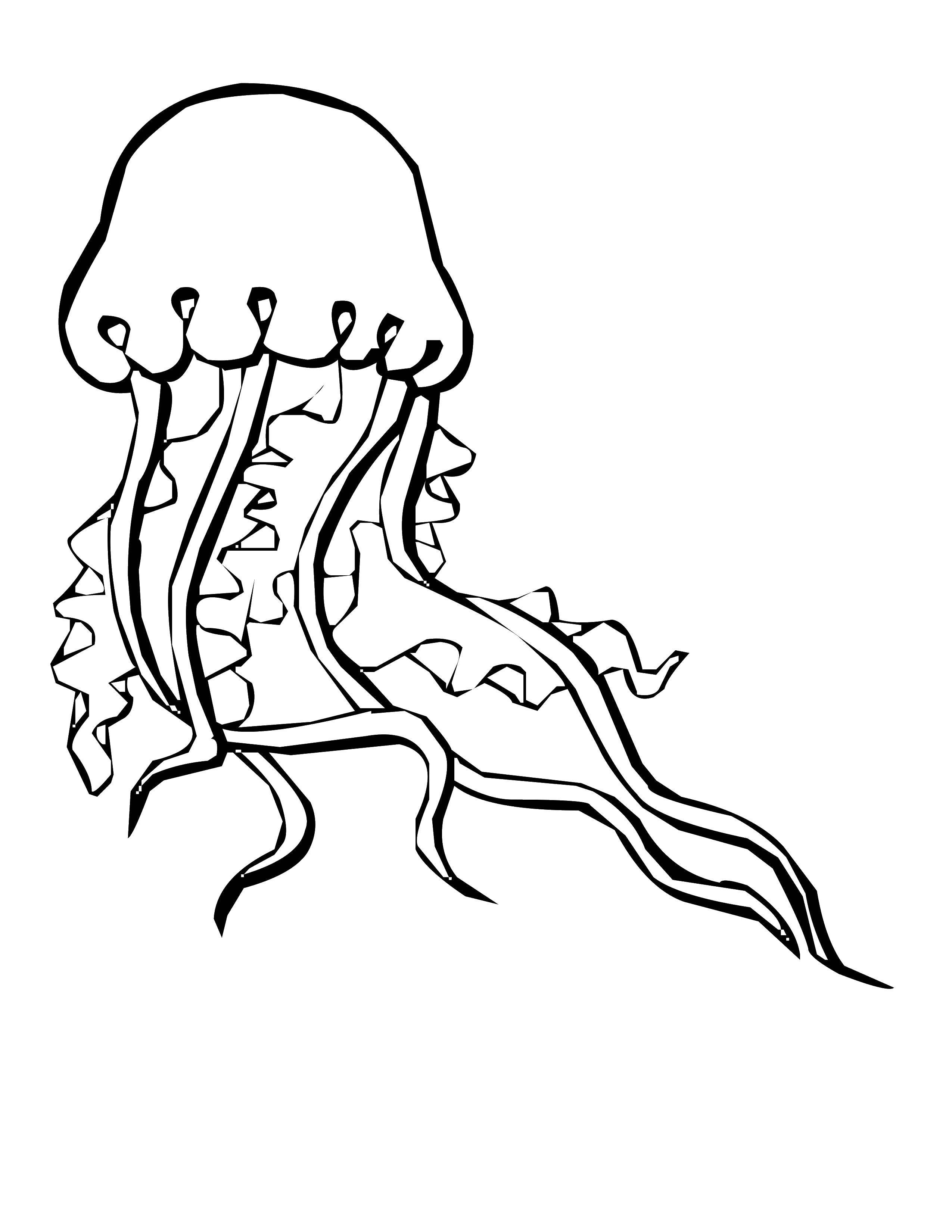 Coloring Huge dangerous jellyfish. Category Sea animals. Tags:  Medusa.