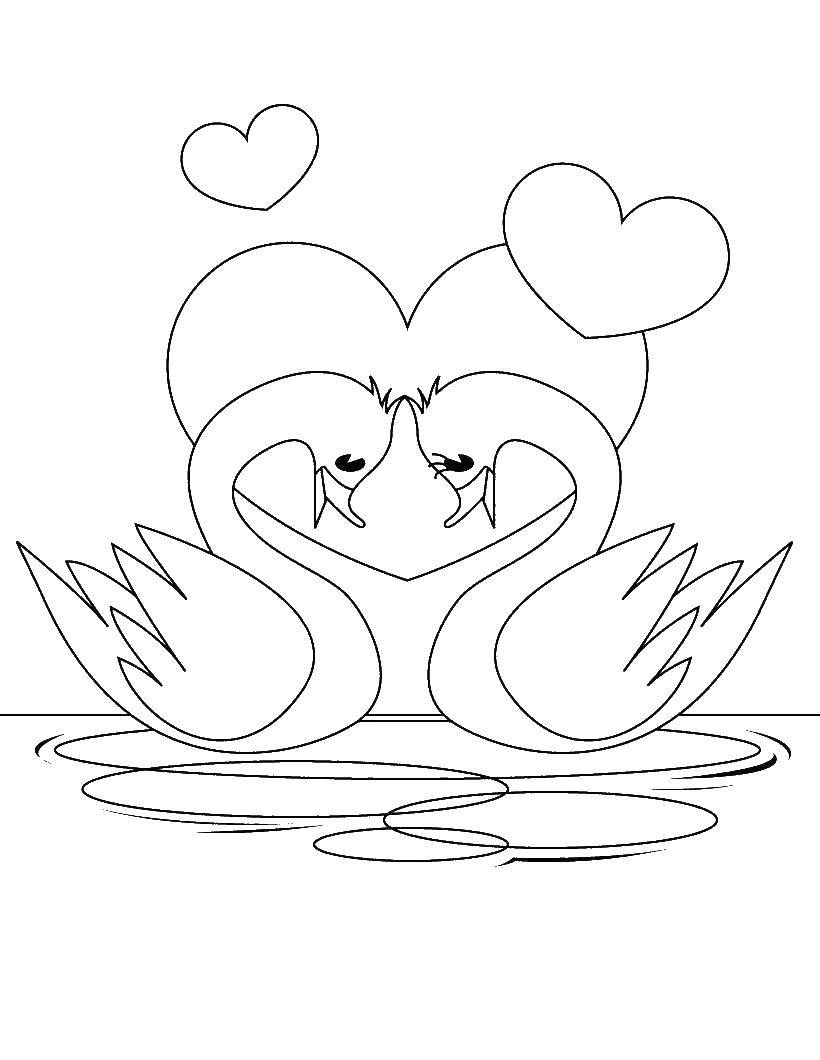Название: Раскраска Влюбленные лебеди. Категория: Я тебя люблю. Теги: лебедь.